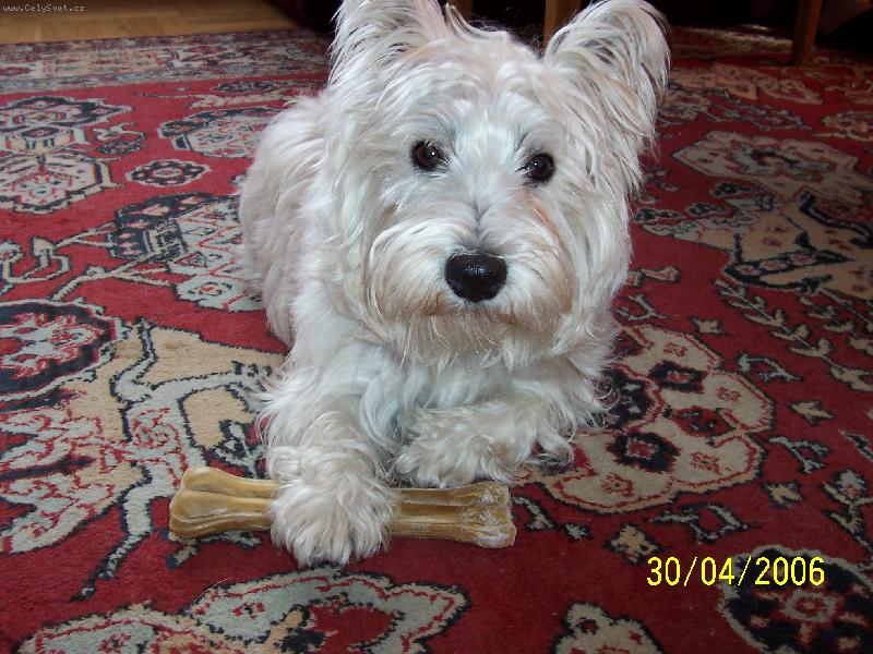 Foto: Norbiho narozeniny