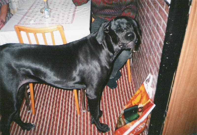 Foto: JENNY-KR�SKA