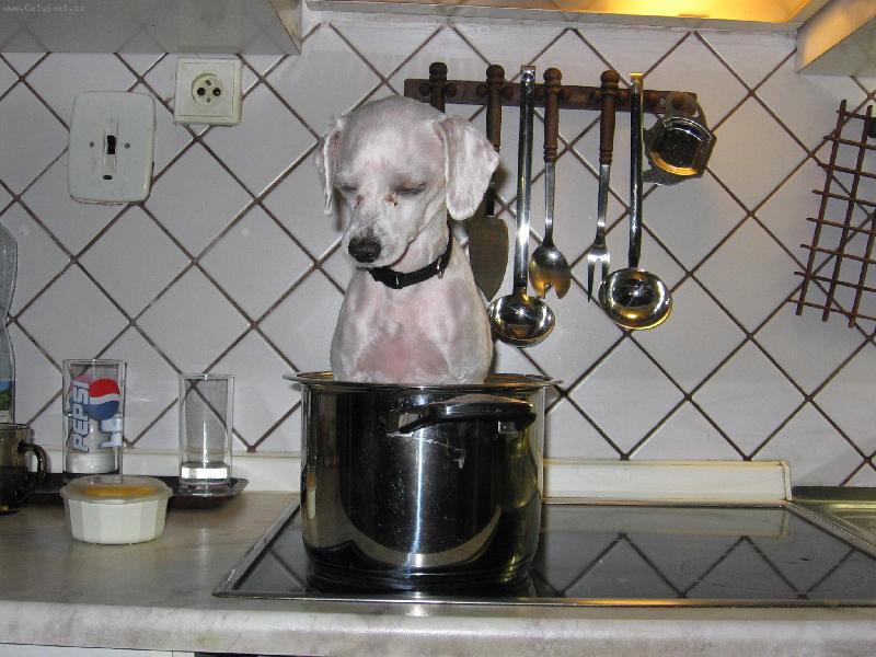 Foto: Va�en� i pe�en�