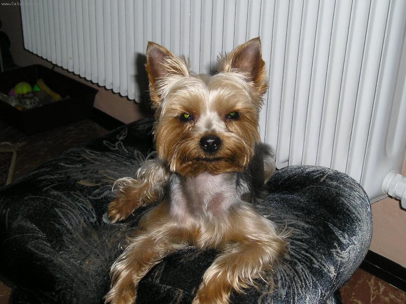 Foto: jork��rek Jerry-Jerry