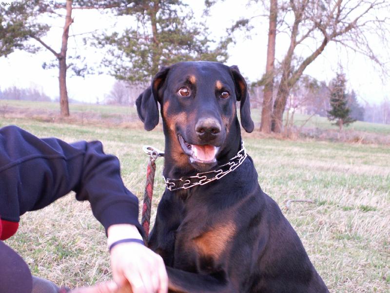 Foto: na�e �t�st�