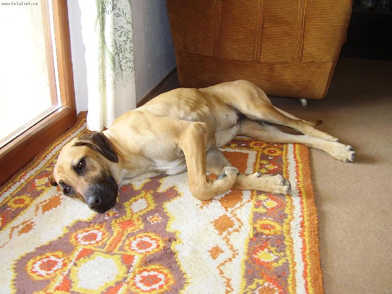 Foto: Odpo�inek po t�k� pr�ci