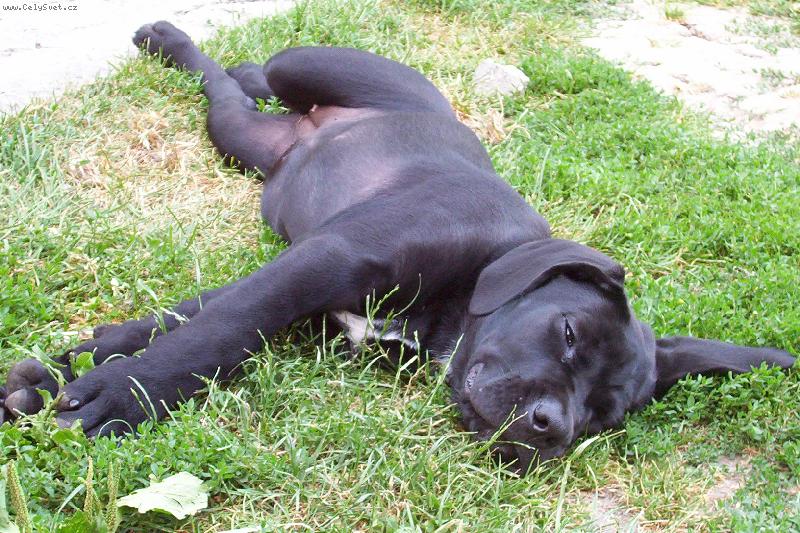 Foto: Keysi-na�e fenka