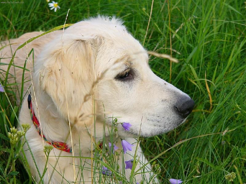 Foto: Eminka jako stenatko :-)