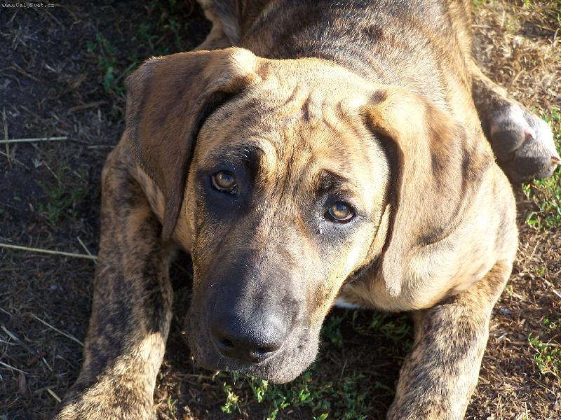 Foto: Fidel-3 m�s�ce