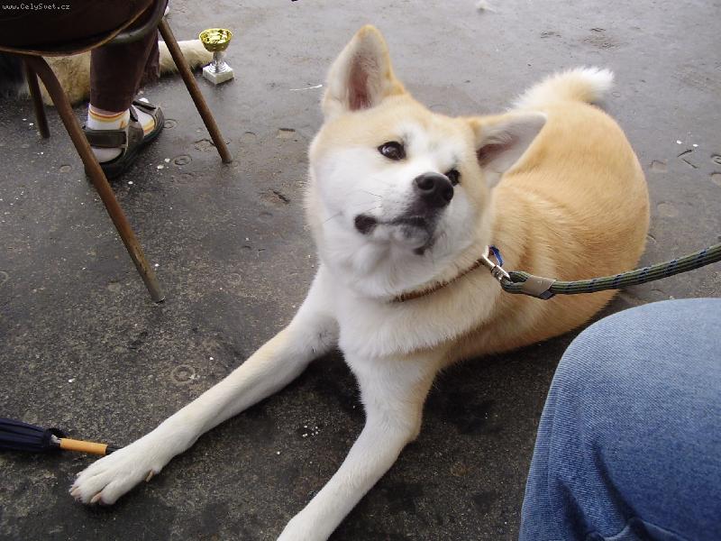 Foto: tak uz pujdem?