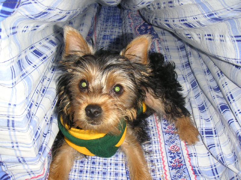 Foto: Dnes se mi u� schov�vat nechce.