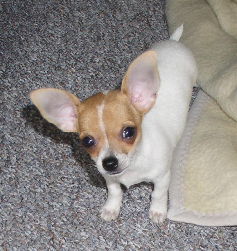 Foto: Lili 3 m�s�ce