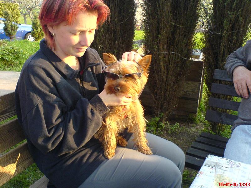 Foto: N� Muff�nek-Moc slun��ka �kod�