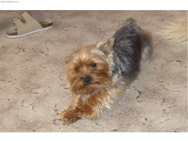 Foto: Po��dn� se prot�hnout....