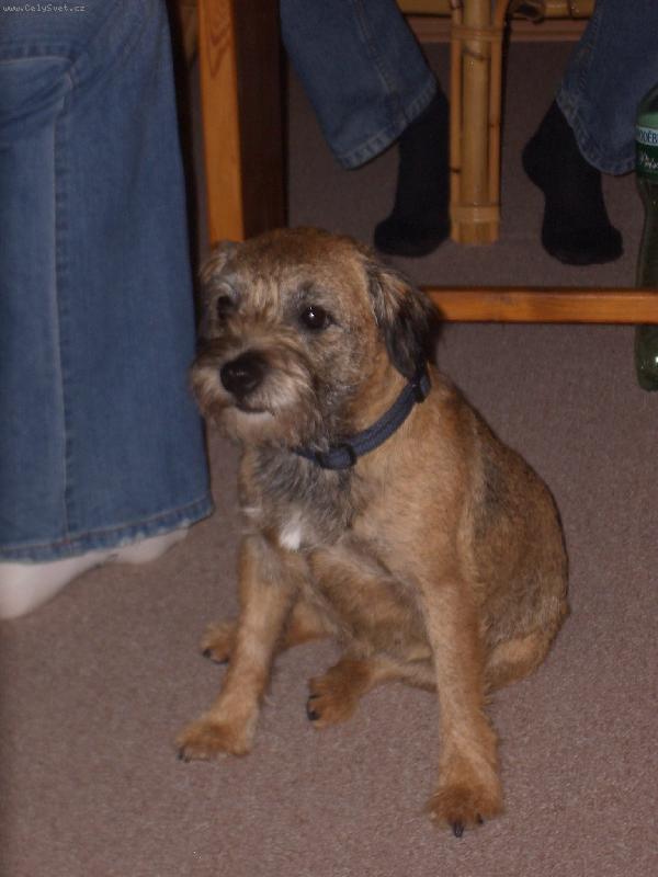 Foto: Done�ka - pozorovatelka