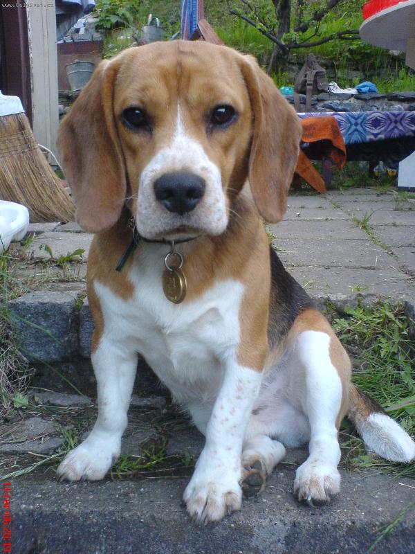 Foto: Ed�k-tady tomu ��fuju j�