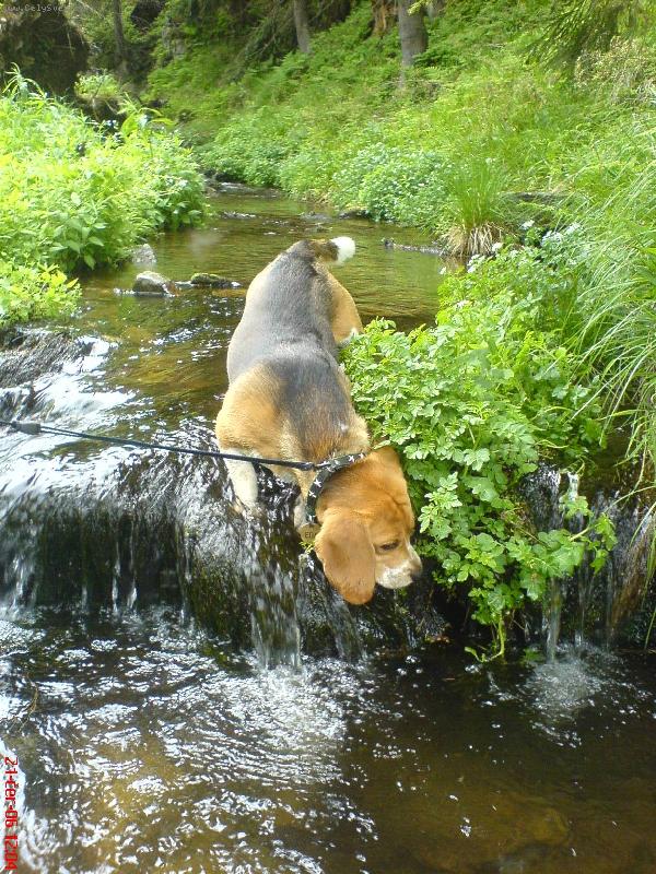 Foto: Ed�k-p�ece se ta ryba nevypa�ila