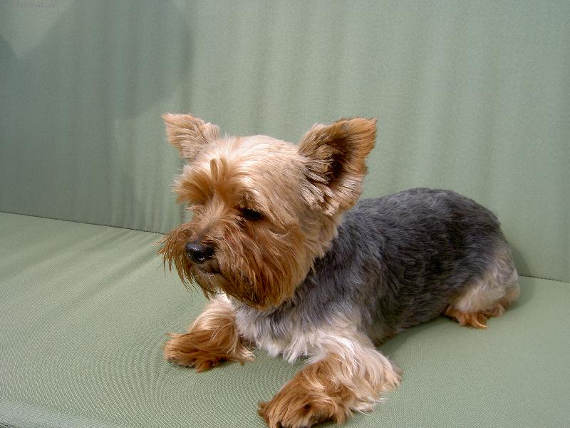 Foto: To je pohodi�ka