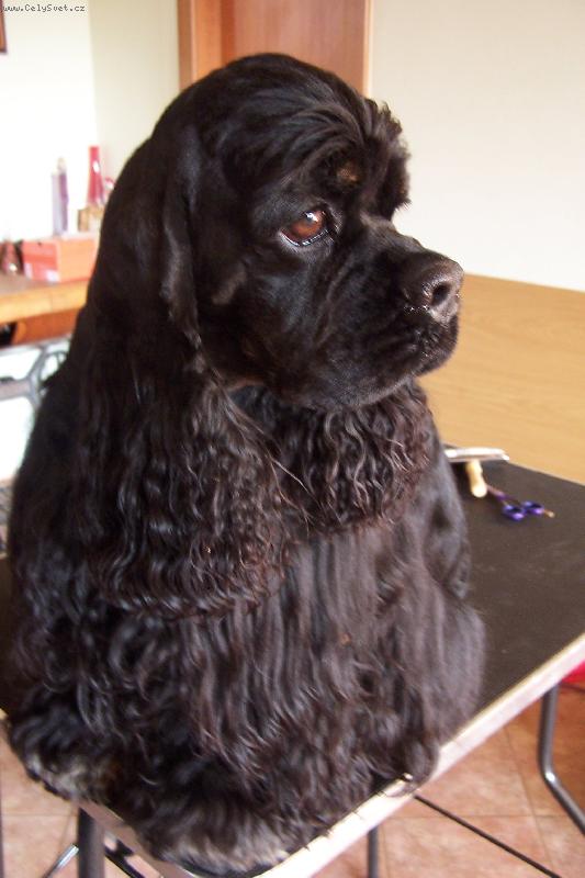 Foto: Xaran B.B. (Jazz)-www.jazz.estranky.cz