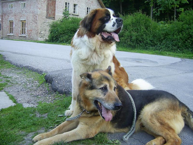 Foto: Bucci a Wells-Par��ci