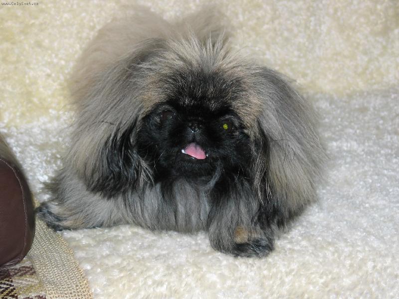 Foto: Tino Bedit-6 m�s�c�