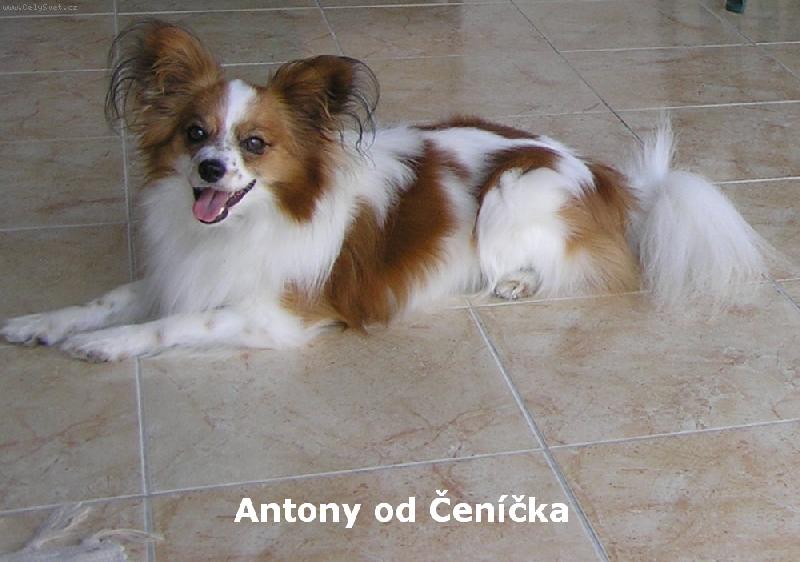 Foto: Chlad�m se na dla�b�-35 stup�� ve st�nu - �ervenec 2006