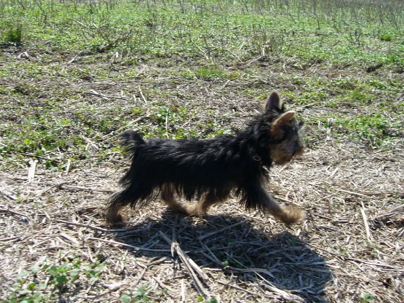 Foto: Ennynka-Ennynka