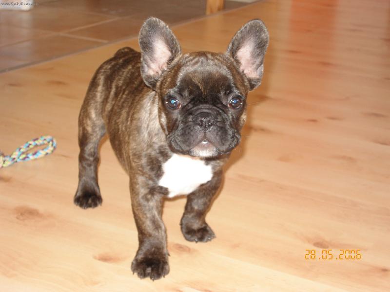 Foto: Bruce Wilis od St��br��ku-N� Fe��k