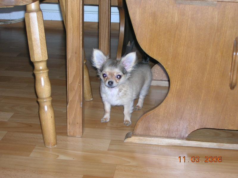 Foto: Dorotka-Dostanu se v�ude :-)