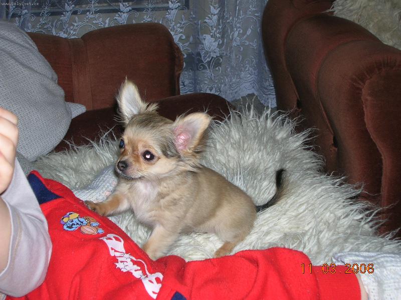 Foto: Dorotka-Dej mi taky, pros�m!!!!