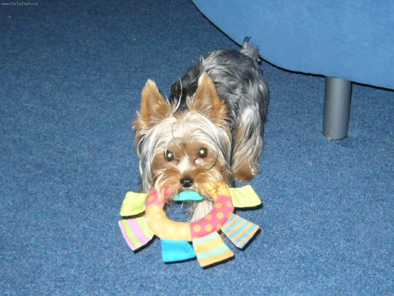 Foto: MIA z D���na-...moje...