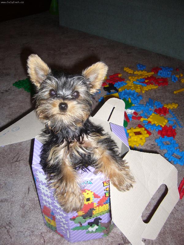 Foto: jak mal� d�t�! :-)