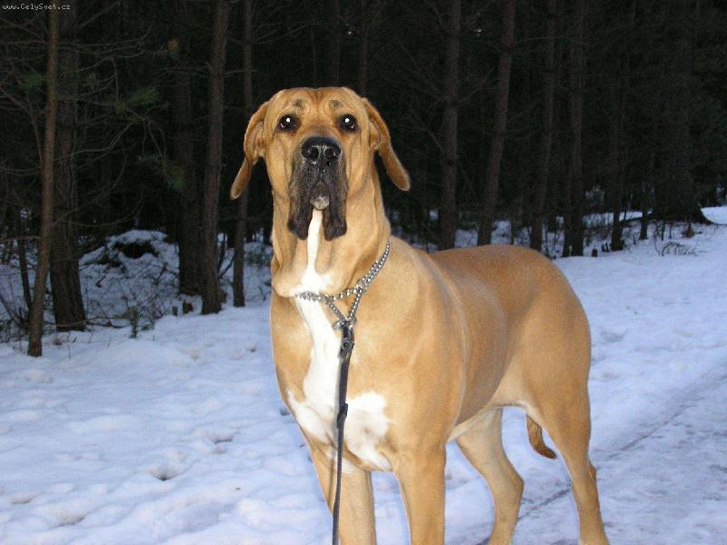 Foto: Osana Str�nick� R�j