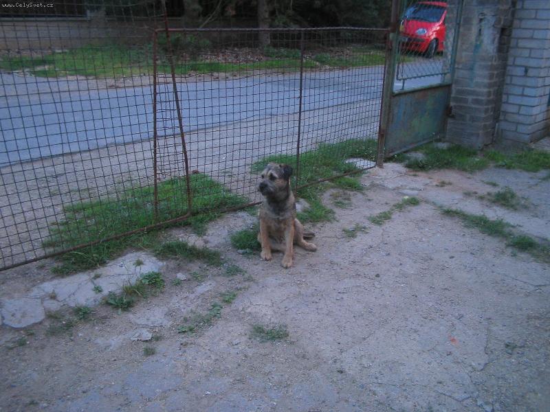 Foto: Iran Lukovec Bohemia-Iran