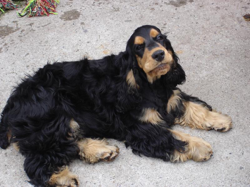 Foto: Tabasco Marcato Line