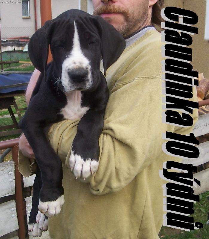 Foto: Claudinka-10 t�dn�