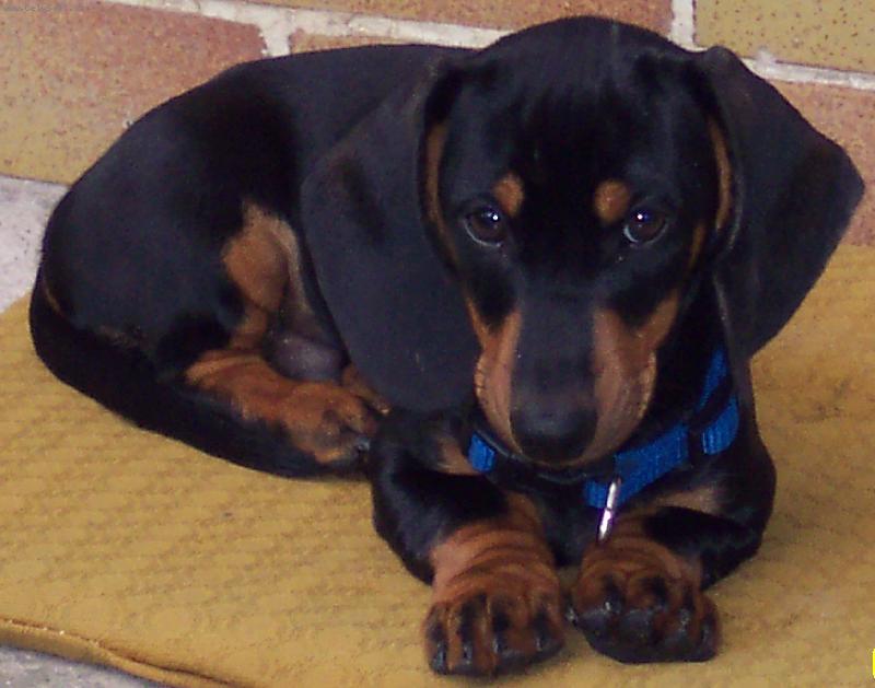 Foto: N� hl�da�