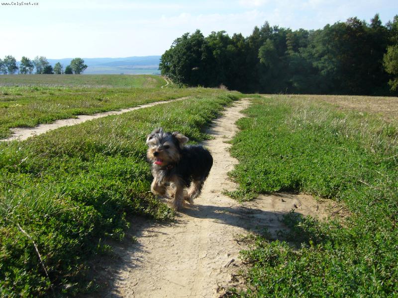 Foto: Ennynka-b�h :o)