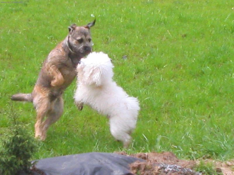 Foto: Iran s kamar�dem-Iran s kamar�dem