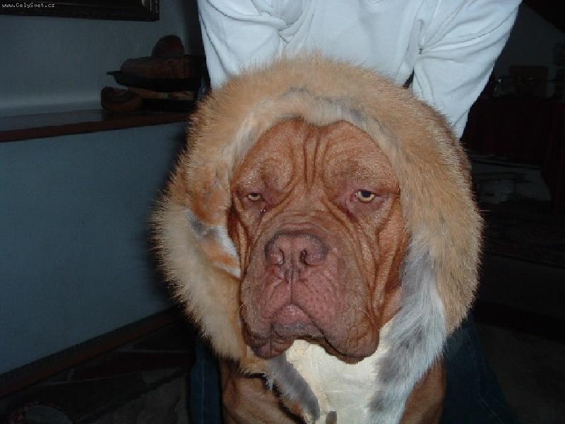 Foto: Duk li��k-Duk li��k