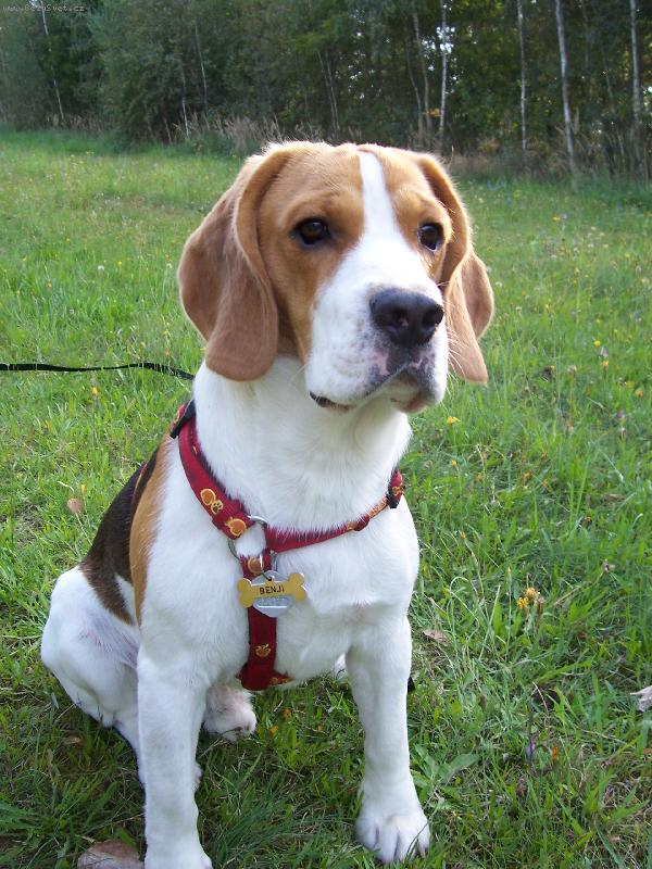 Foto: v�echno mi tu pat��