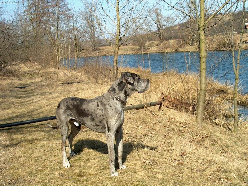 Foto: Nufl�k-3roky