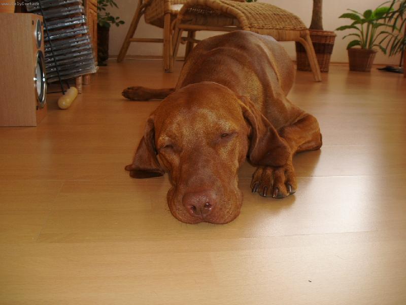 Foto: Faust�k-�nava....