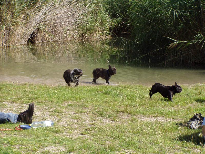 Foto: buldo��� sraz�k v Brn�-Tak jsme b�hali v lomu.