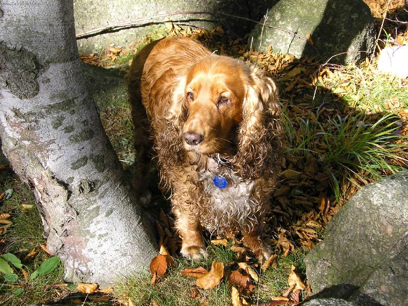 Foto: Elinka-V lese m� to taky bav�