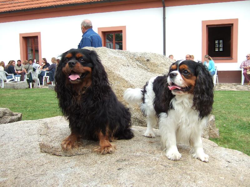 Foto: Brian a Reny, ve spole�nosti jsme jako doma-www.cavalier.wz.cz