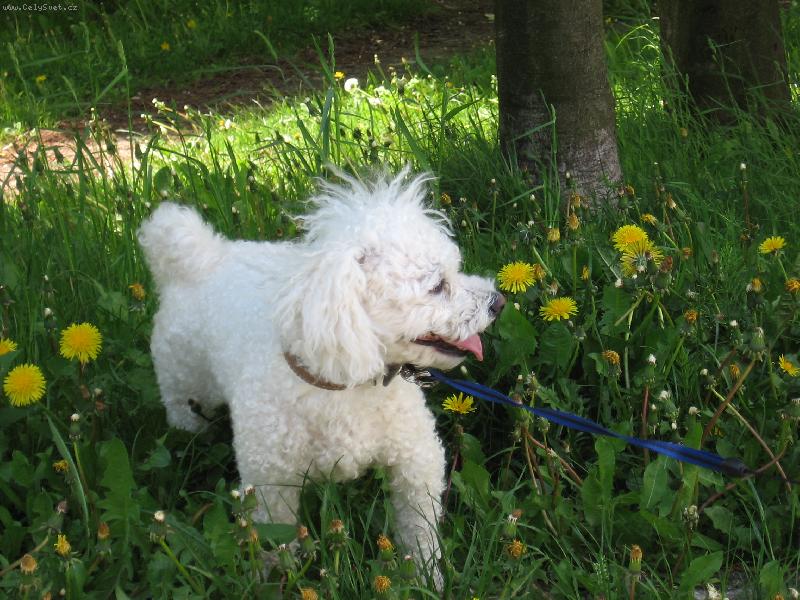 Foto: Mare�ek-Mare�ek