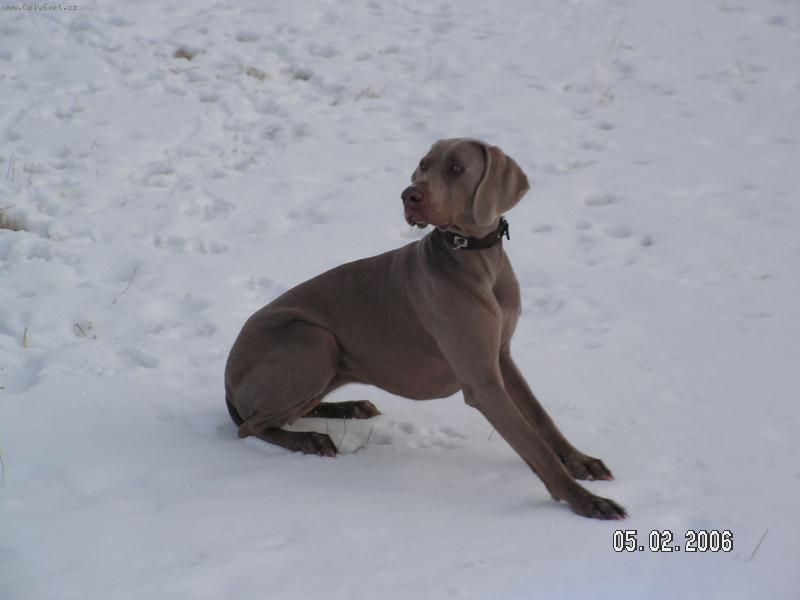 Foto: Dolly-Daun??? V�dy� to zebe!!!