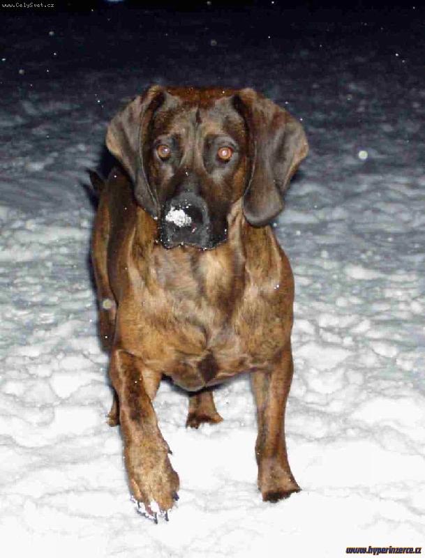 Foto: Atos-muj velikej atos...