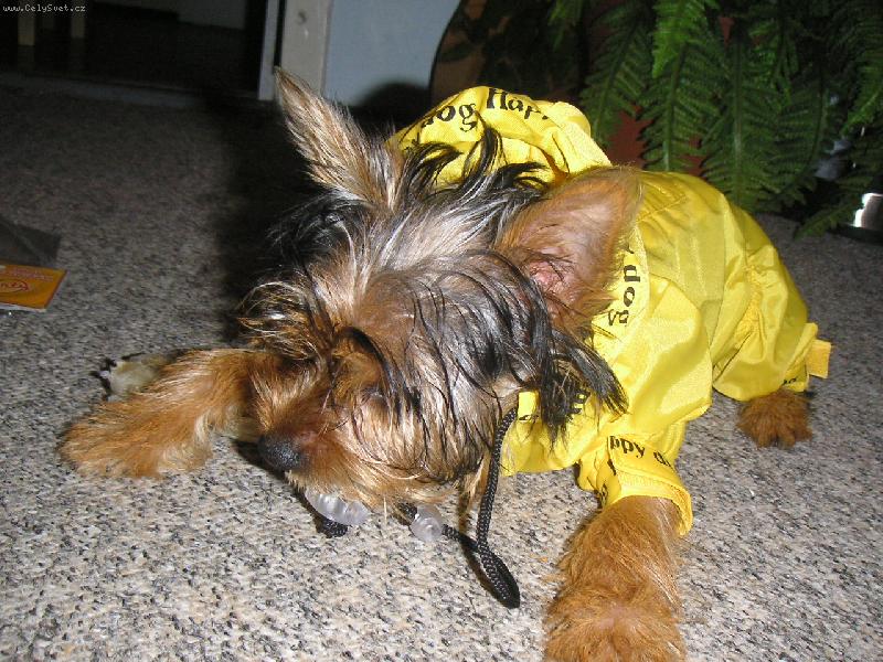 Foto: Max do de�t�-Maxime