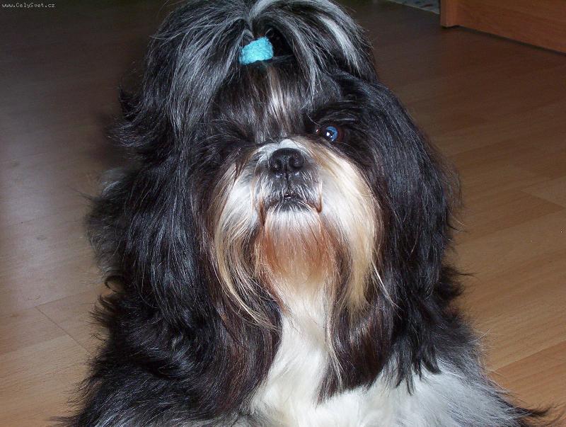 Foto: Co m� otravuje�, kdy� se koch�m