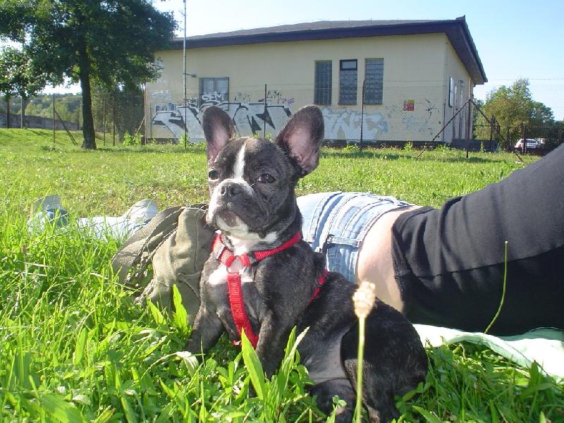 Foto: Gabi-P�za... :-)