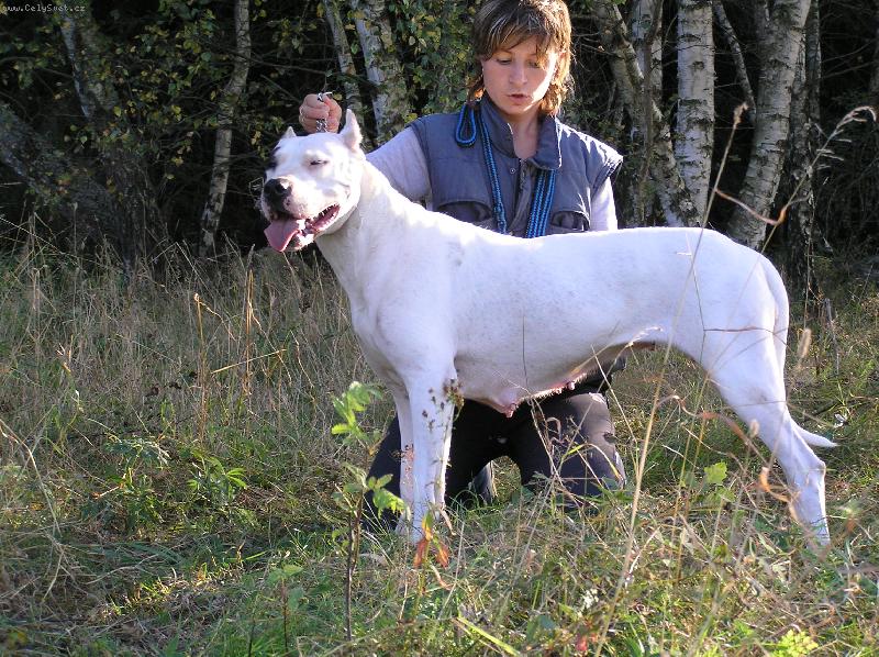 Foto: Espina di Casa Nardini-CHS Blansky les