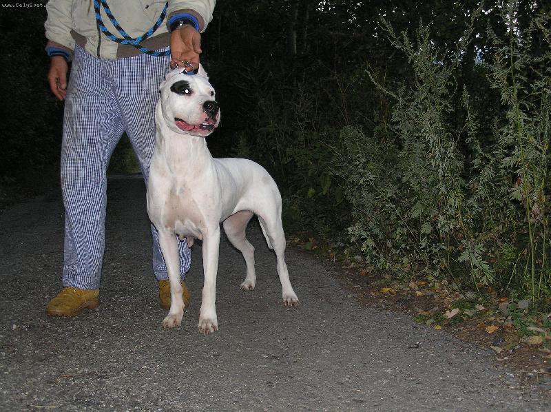 Foto: Espina- AD Blansky les-Espina di Casa Nardini